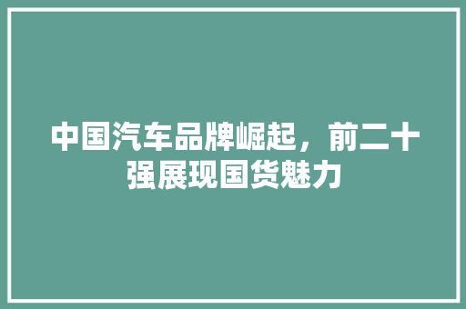 中国汽车品牌崛起，前二十强展现国货魅力