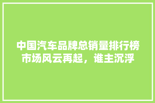 中国汽车品牌总销量排行榜市场风云再起，谁主沉浮