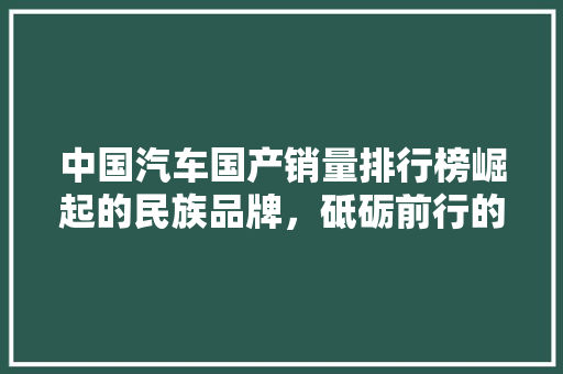 中国汽车国产销量排行榜崛起的民族品牌，砥砺前行的力量