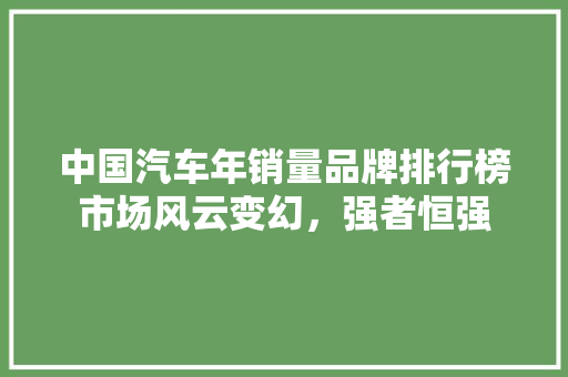 中国汽车年销量品牌排行榜市场风云变幻，强者恒强