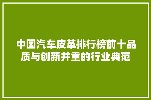 中国汽车皮革排行榜前十品质与创新并重的行业典范