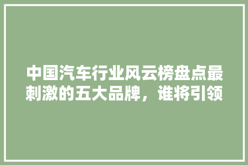 中国汽车行业风云榜盘点最刺激的五大品牌，谁将引领未来