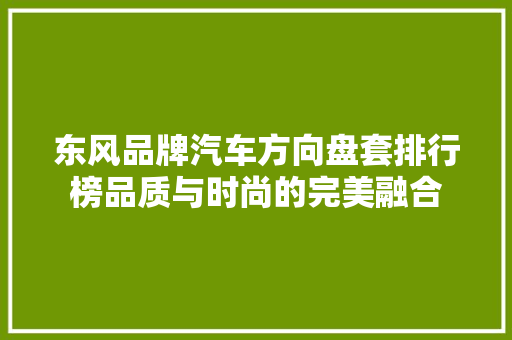 东风品牌汽车方向盘套排行榜品质与时尚的完美融合