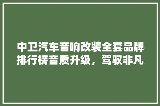 中卫汽车音响改装全套品牌排行榜音质升级，驾驭非凡听觉盛宴