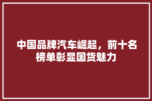 中国品牌汽车崛起，前十名榜单彰显国货魅力