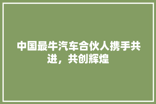 中国最牛汽车合伙人携手共进，共创辉煌