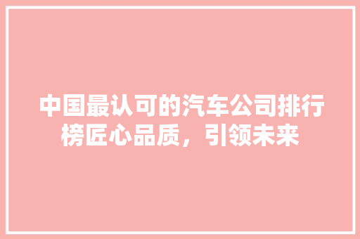 中国最认可的汽车公司排行榜匠心品质，引领未来