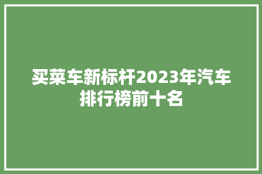 买菜车新标杆2023年汽车排行榜前十名