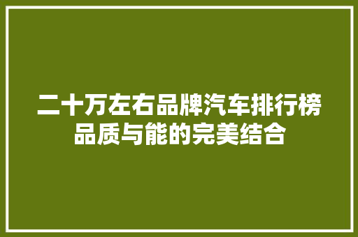 二十万左右品牌汽车排行榜品质与能的完美结合