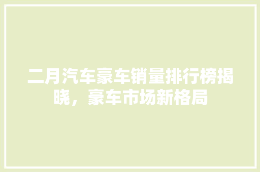 二月汽车豪车销量排行榜揭晓，豪车市场新格局