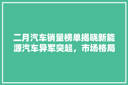 二月汽车销量榜单揭晓新能源汽车异军突起，市场格局悄然生变
