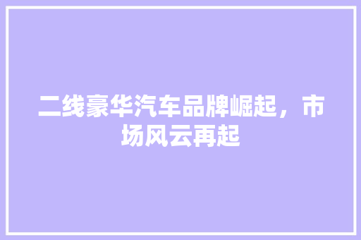 二线豪华汽车品牌崛起，市场风云再起