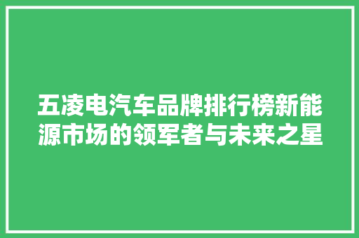 五凌电汽车品牌排行榜新能源市场的领军者与未来之星