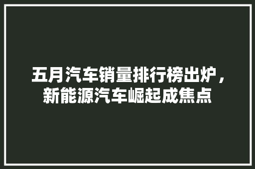 五月汽车销量排行榜出炉，新能源汽车崛起成焦点