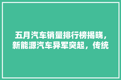 五月汽车销量排行榜揭晓，新能源汽车异军突起，传统燃油车面临挑战