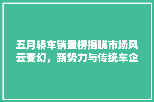 五月轿车销量榜揭晓市场风云变幻，新势力与传统车企共舞