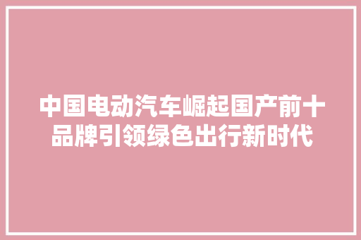 中国电动汽车崛起国产前十品牌引领绿色出行新时代