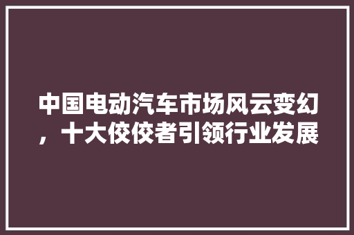 中国电动汽车市场风云变幻，十大佼佼者引领行业发展
