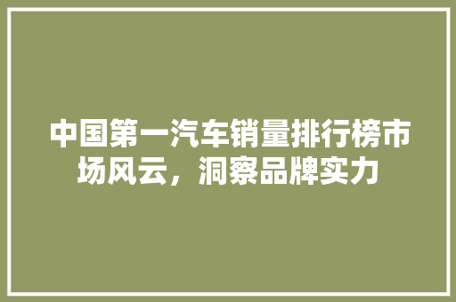中国第一汽车销量排行榜市场风云，洞察品牌实力