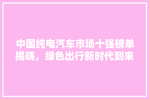 中国纯电汽车市场十强榜单揭晓，绿色出行新时代到来