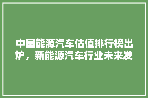 中国能源汽车估值排行榜出炉，新能源汽车行业未来发展可期