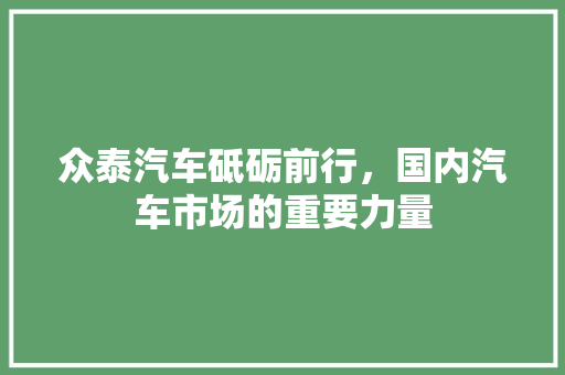 众泰汽车砥砺前行，国内汽车市场的重要力量
