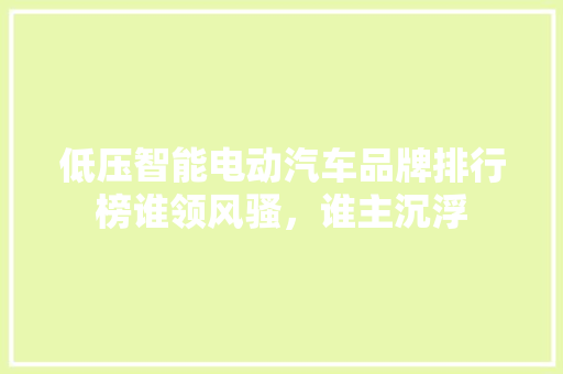 低压智能电动汽车品牌排行榜谁领风骚，谁主沉浮