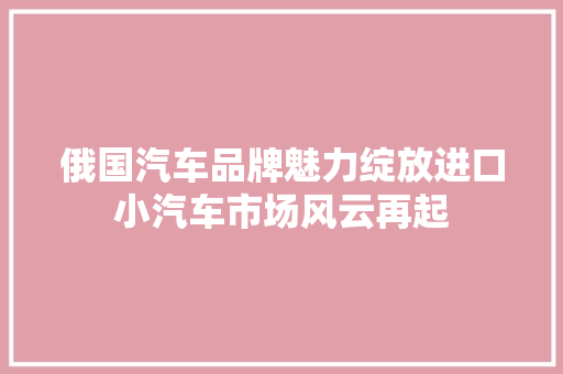 俄国汽车品牌魅力绽放进口小汽车市场风云再起