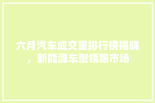 六月汽车成交量排行榜揭晓，新能源车型领跑市场