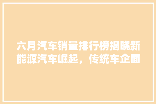 六月汽车销量排行榜揭晓新能源汽车崛起，传统车企面临新挑战