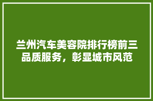兰州汽车美容院排行榜前三品质服务，彰显城市风范