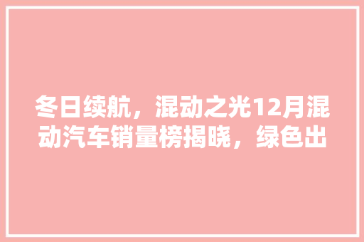 冬日续航，混动之光12月混动汽车销量榜揭晓，绿色出行新风尚
