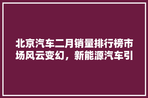 北京汽车二月销量排行榜市场风云变幻，新能源汽车引领新趋势