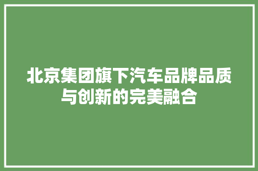 北京集团旗下汽车品牌品质与创新的完美融合