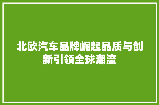 北欧汽车品牌崛起品质与创新引领全球潮流
