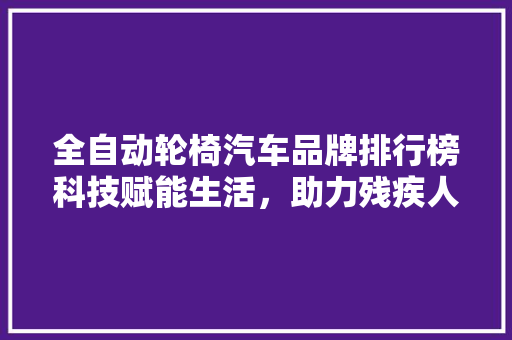 全自动轮椅汽车品牌排行榜科技赋能生活，助力残疾人士实现自由出行