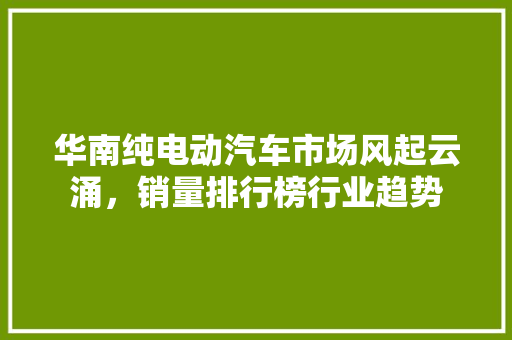 华南纯电动汽车市场风起云涌，销量排行榜行业趋势