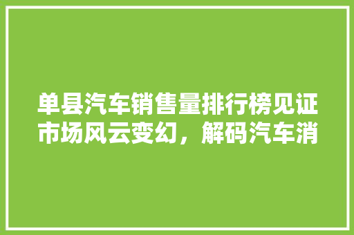 单县汽车销售量排行榜见证市场风云变幻，解码汽车消费趋势