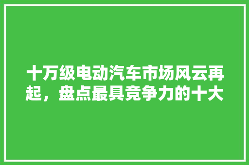 十万级电动汽车市场风云再起，盘点最具竞争力的十大车型