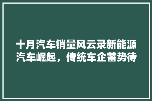 十月汽车销量风云录新能源汽车崛起，传统车企蓄势待发
