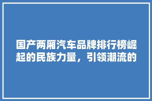 国产两厢汽车品牌排行榜崛起的民族力量，引领潮流的时尚之选