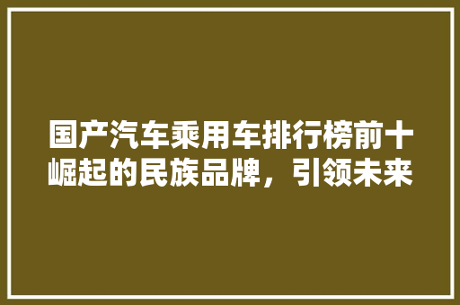 国产汽车乘用车排行榜前十崛起的民族品牌，引领未来出行潮流
