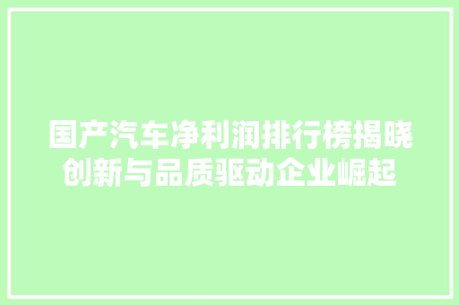 国产汽车净利润排行榜揭晓创新与品质驱动企业崛起