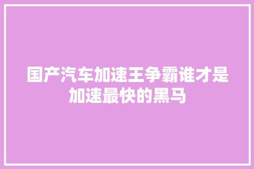 国产汽车加速王争霸谁才是加速最快的黑马