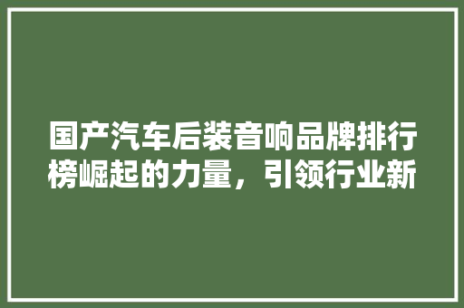 国产汽车后装音响品牌排行榜崛起的力量，引领行业新风尚