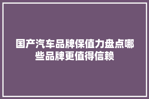 国产汽车品牌保值力盘点哪些品牌更值得信赖