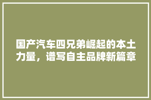 国产汽车四兄弟崛起的本土力量，谱写自主品牌新篇章