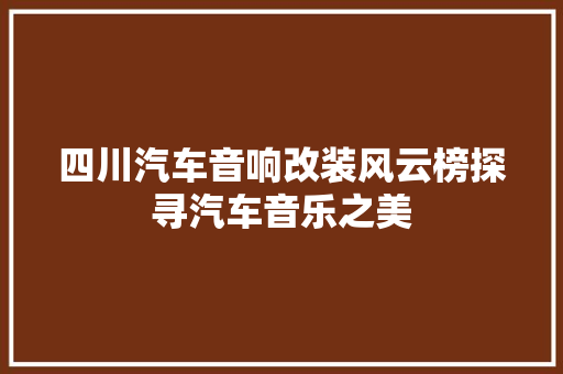 四川汽车音响改装风云榜探寻汽车音乐之美