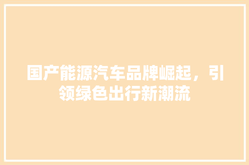 国产能源汽车品牌崛起，引领绿色出行新潮流