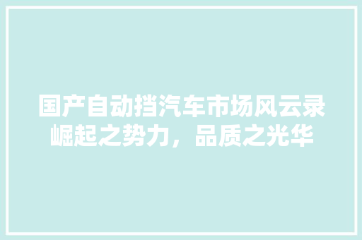 国产自动挡汽车市场风云录崛起之势力，品质之光华